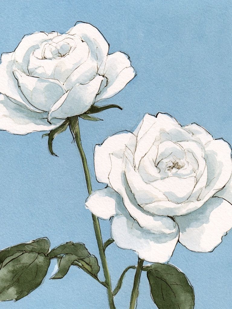White Roses Watercolor Print. poster — botanical art