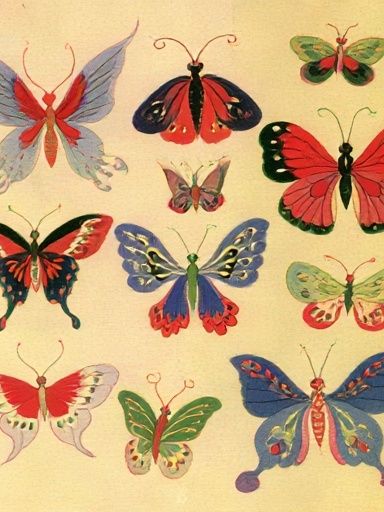 Butterfly Study Illustration Poster. poster — botanical art
