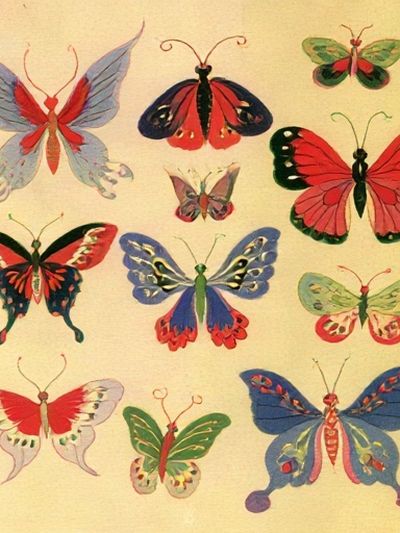 Butterfly Study Illustration Poster. poster