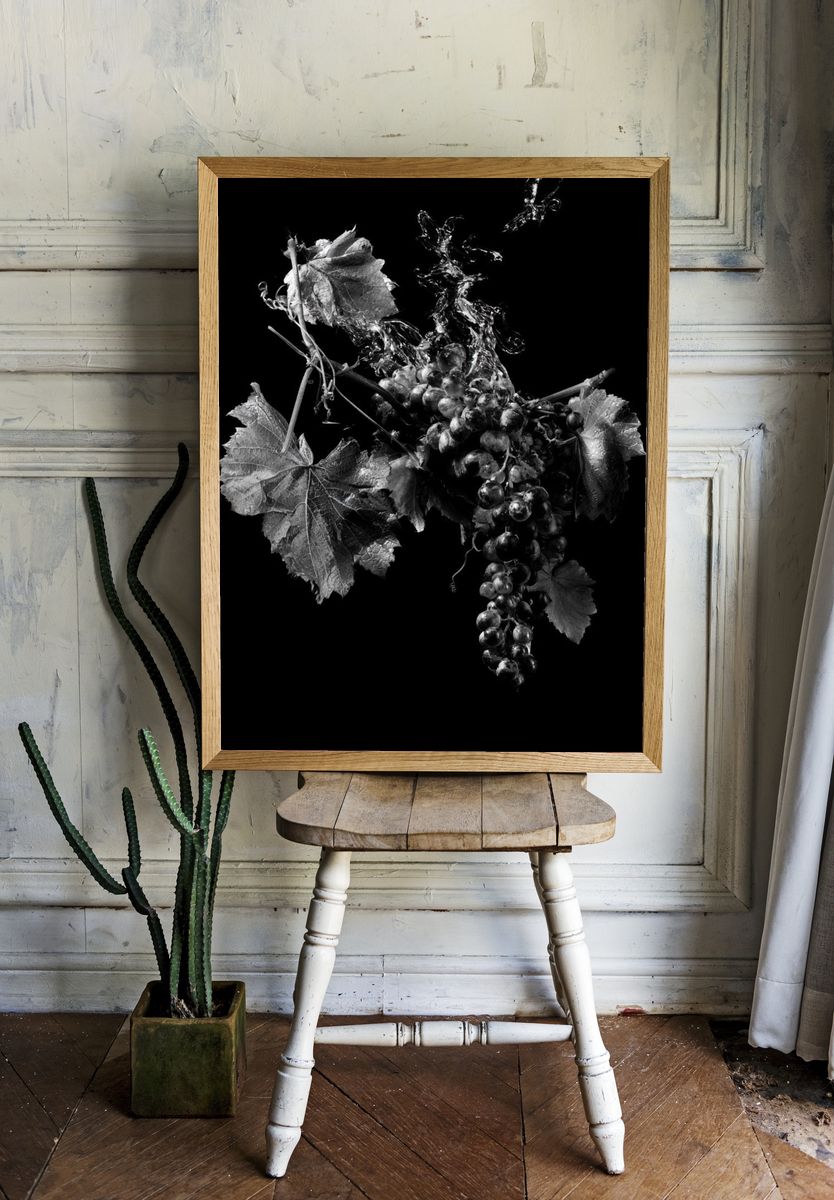 Black Grapes Still Life Poster. — room view 1