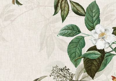 Weaved background musk rose illustration. poster print