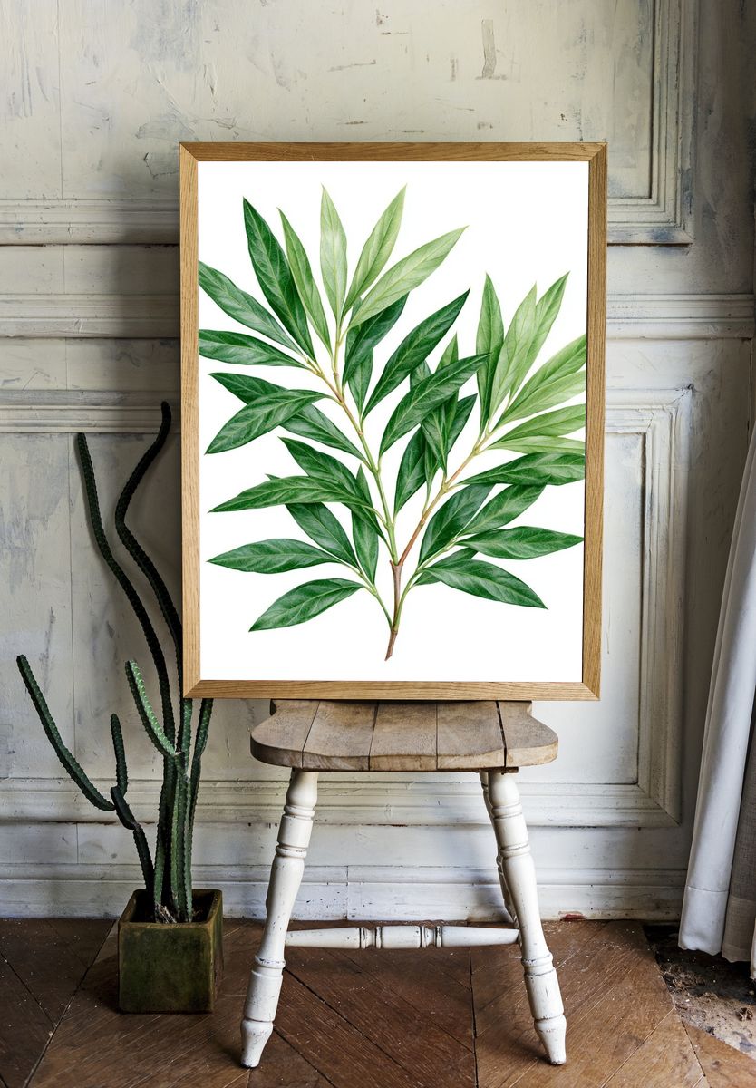 Green Botanical Leaves Print. — room view 1