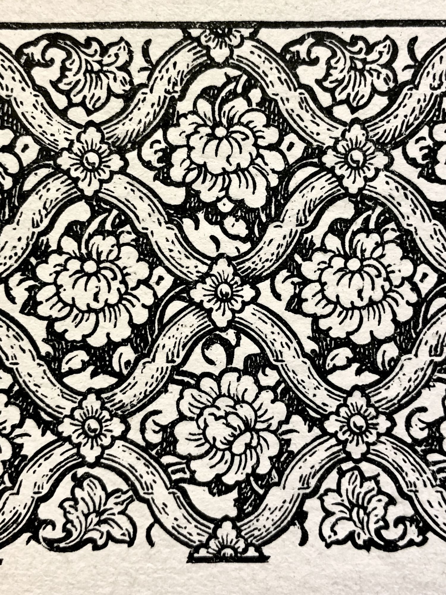 Floral Lattice Woodcut Print. poster — botanical art