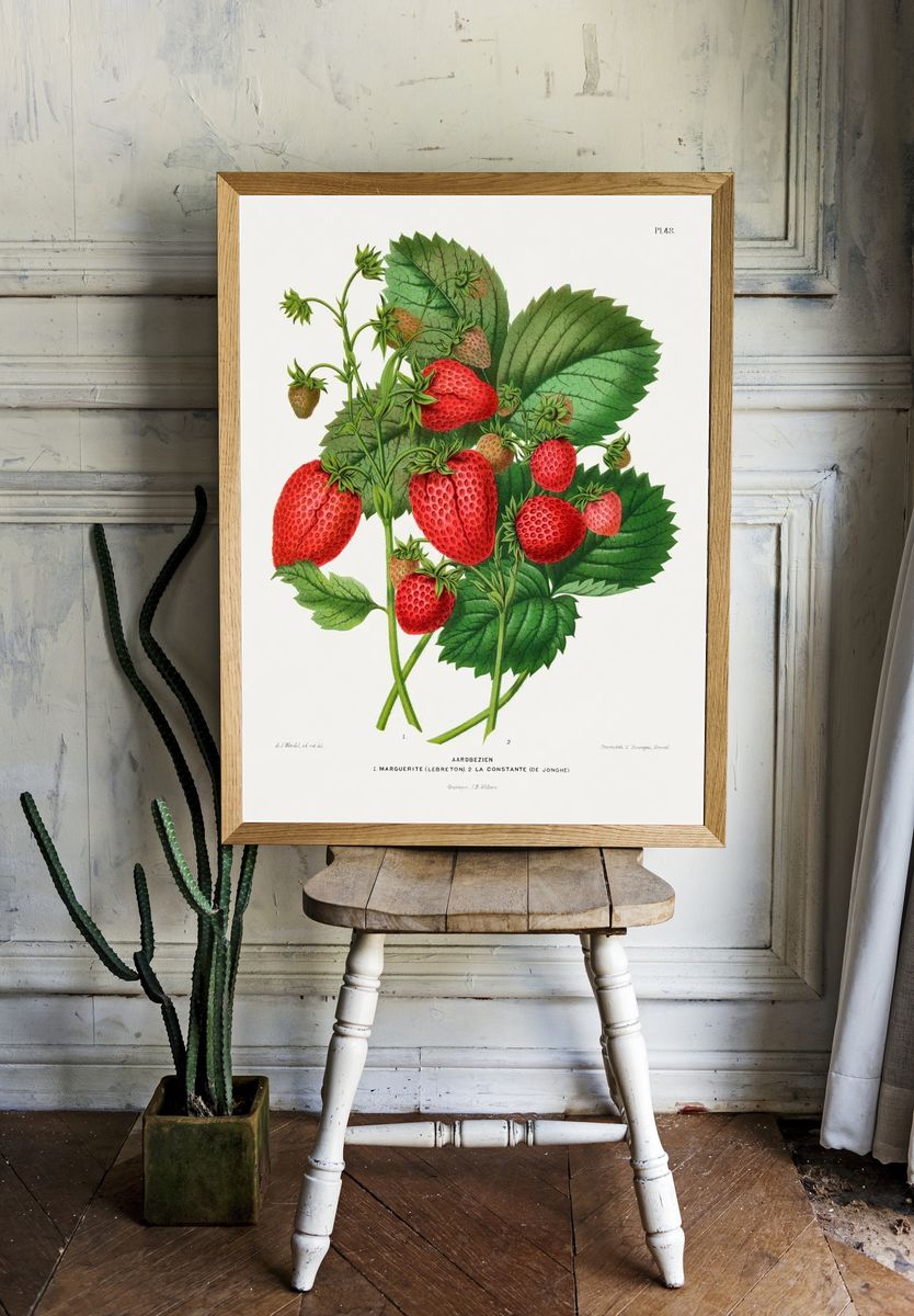 Aardbezien (strawberry) chromolithograph plates Abraham room preview