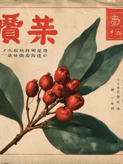 Vintage Botanical Berry Print. poster