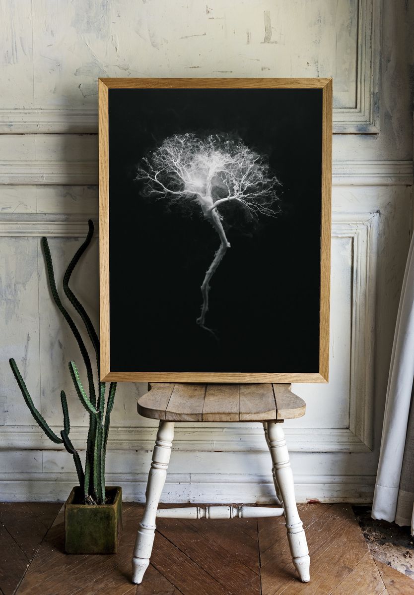 Ghost Tree Black-White Print. — room view 1