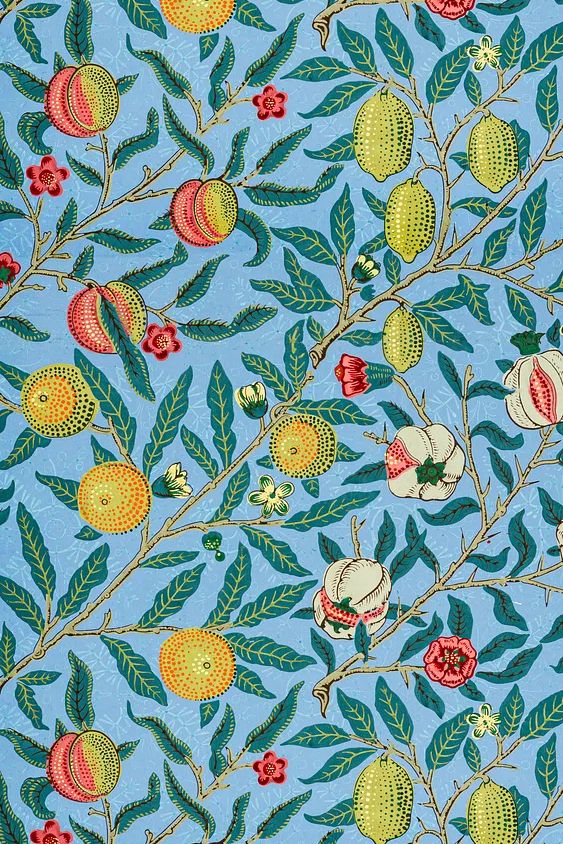 Peach Blossom Botanical Print. poster — botanical art