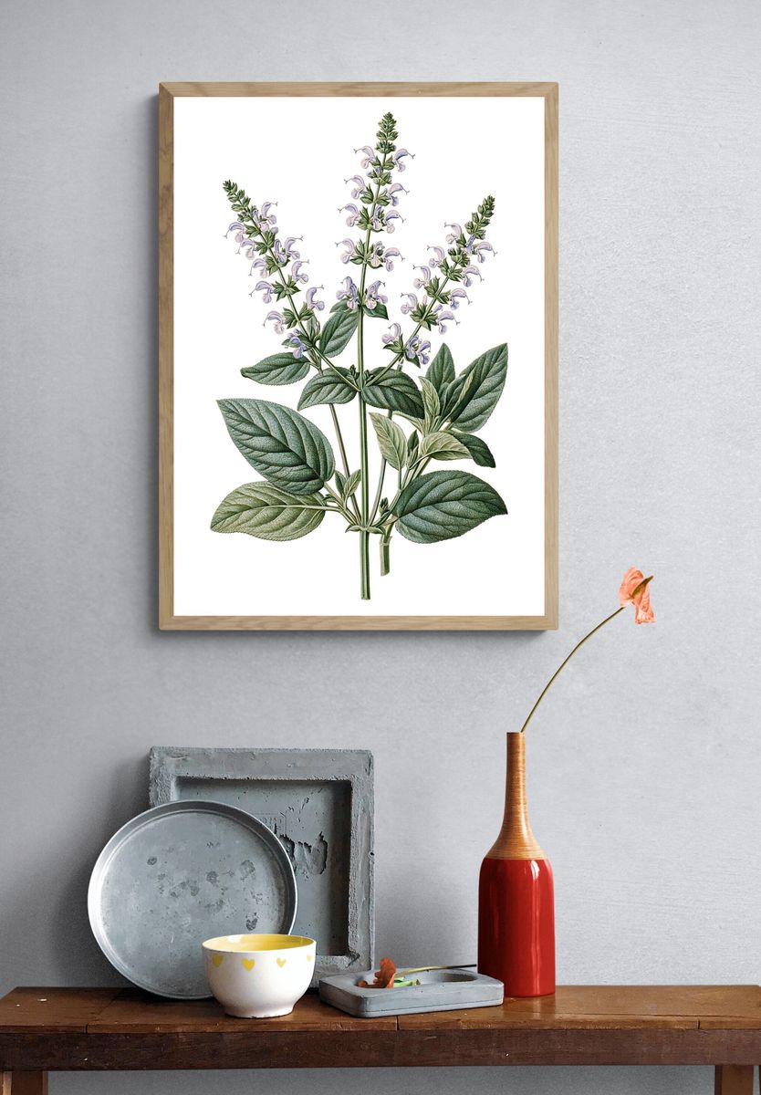 Botanical Sage Blossom Print. — room view 3