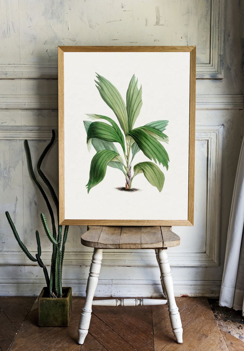 Hand drawn areca palm. Original. room preview