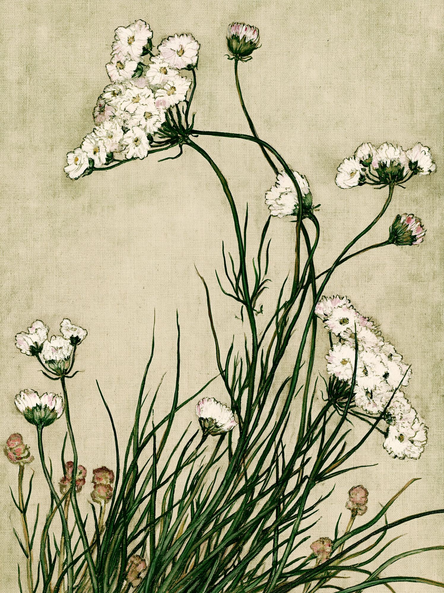 Wildflower Botanical Print. poster detail