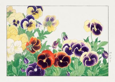 Vintage pansy flower, ukiyo e. poster print