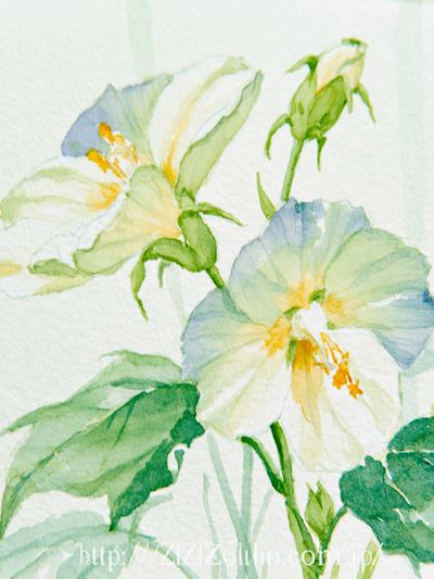 White Lily Watercolor Print.