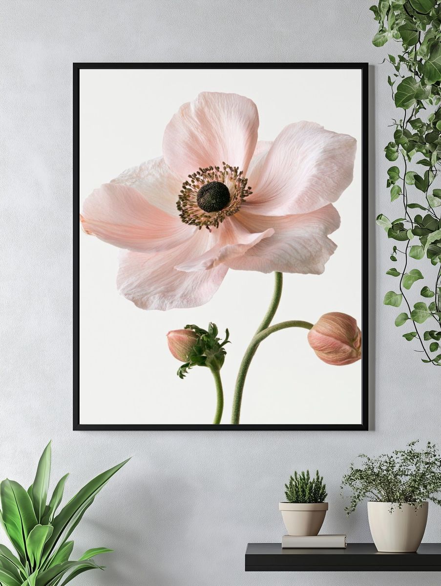 Pink Anemone Botanical Print. — room view 4