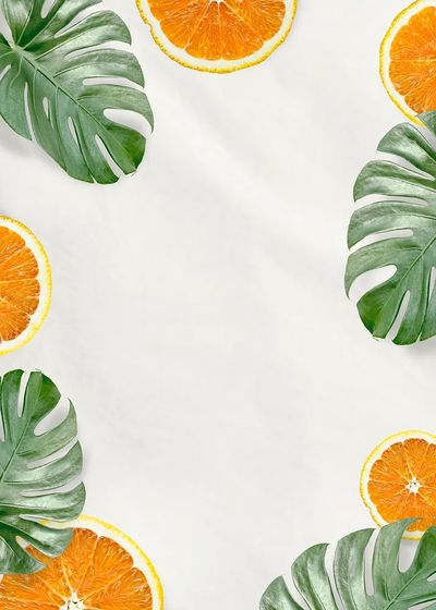 Green Monstera leaves orange background. poster print