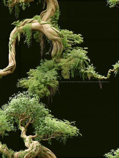 Twisting Bonsai Canopy Botanical Print. poster