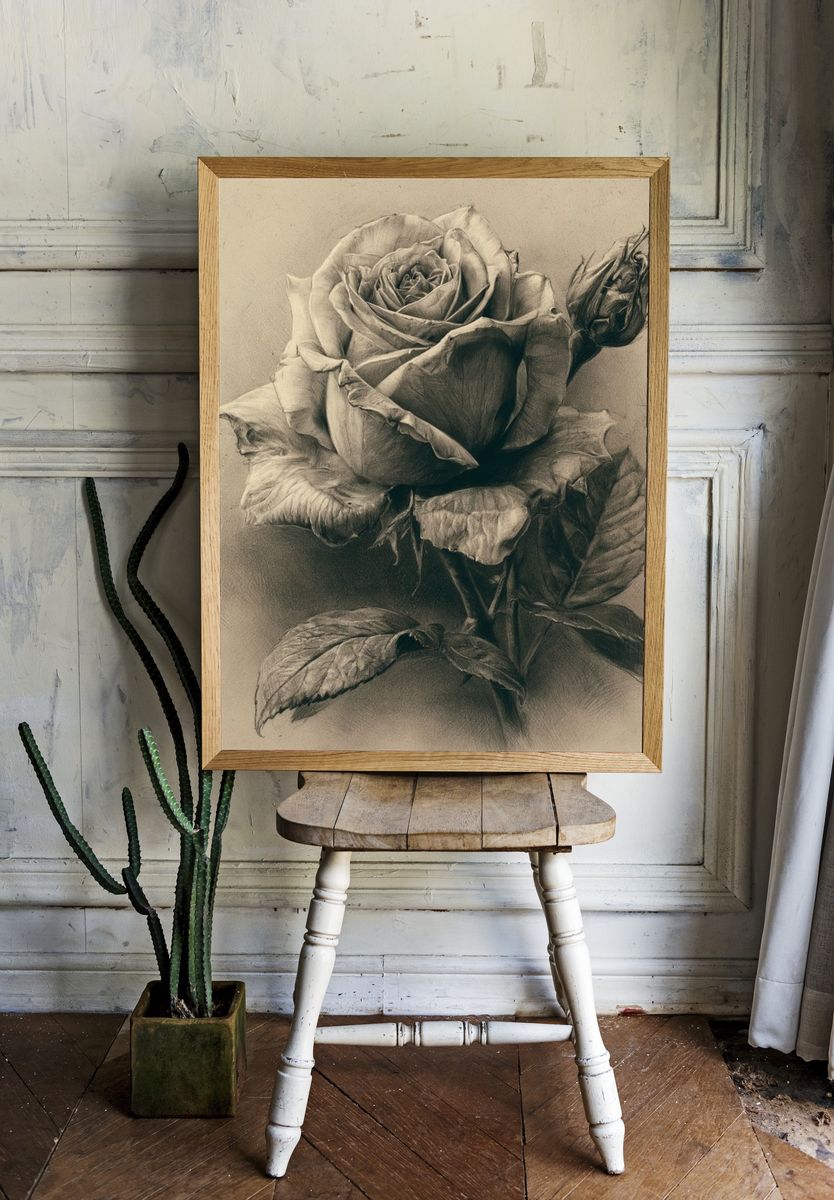 Sepia Rose Botanical Print. room preview