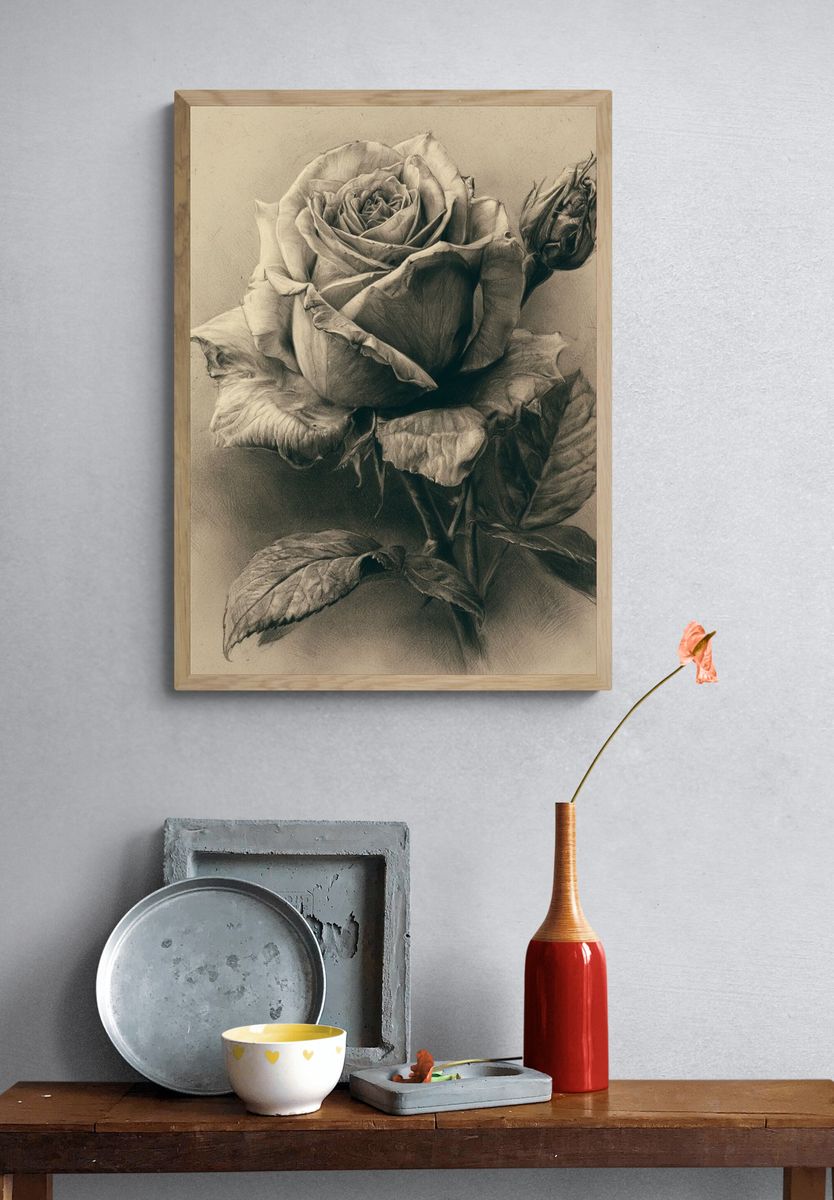 Sepia Rose Botanical Print. — room view 3