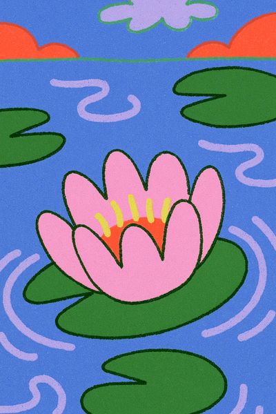 Lily Pad Pond Illustration Poster. poster