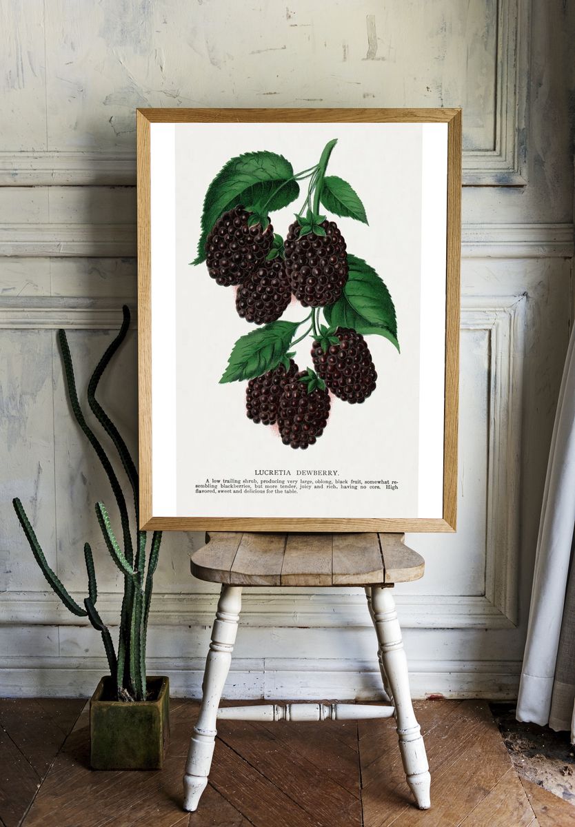 Lucretia Dewberry lithograph. — room view 1