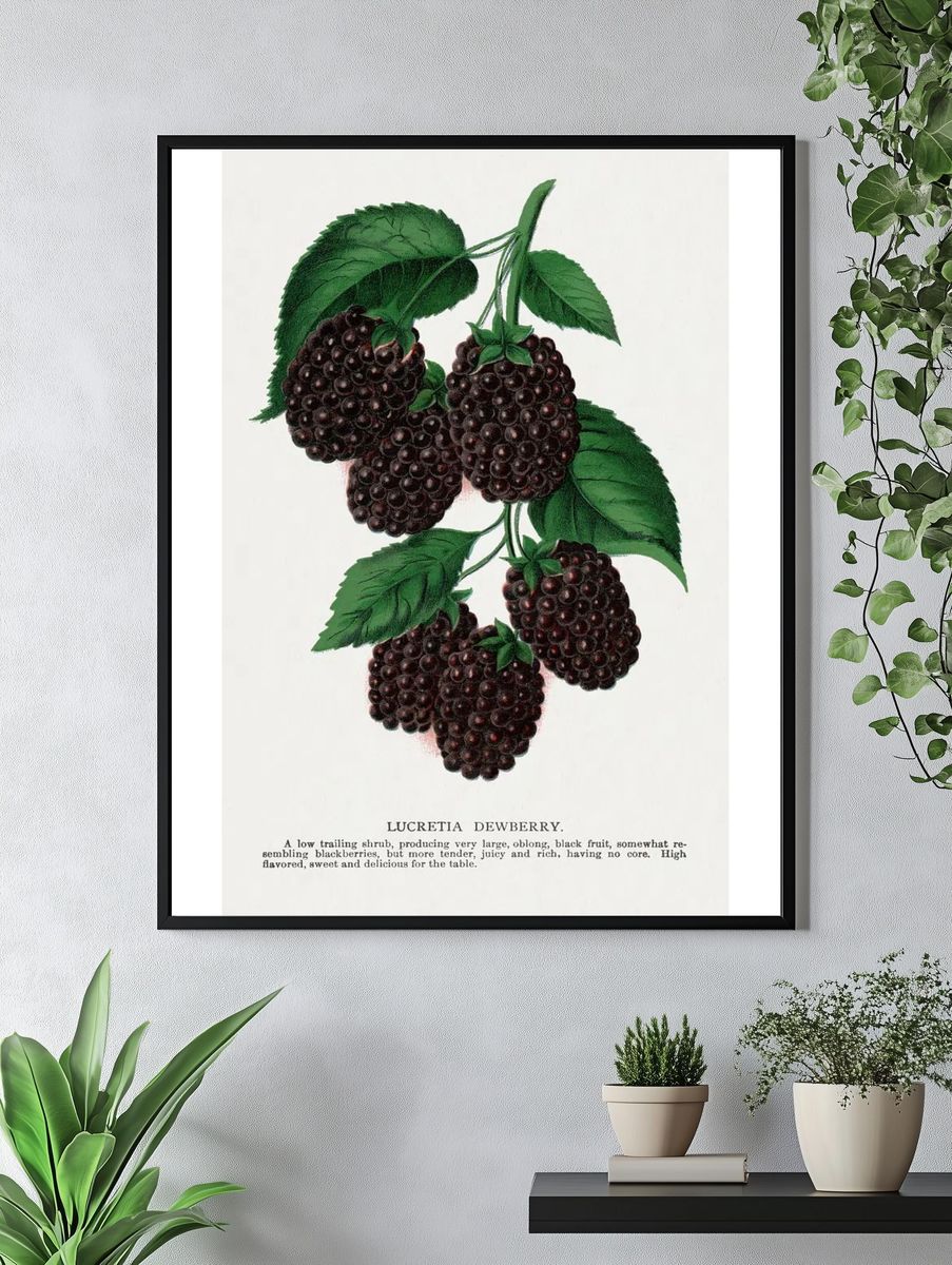 Lucretia Dewberry lithograph. — room view 4