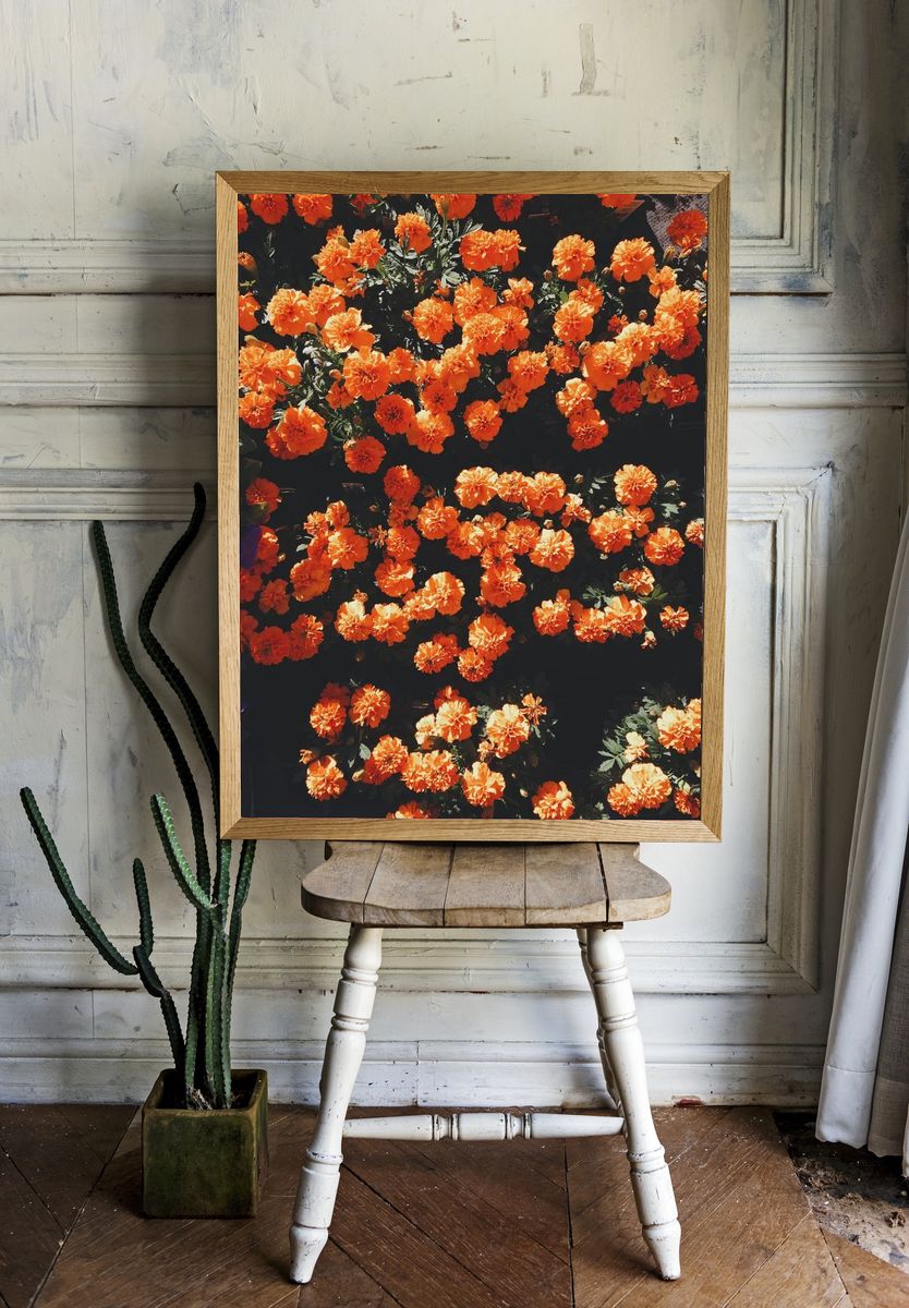 Blooming orange flowers. — room view 1