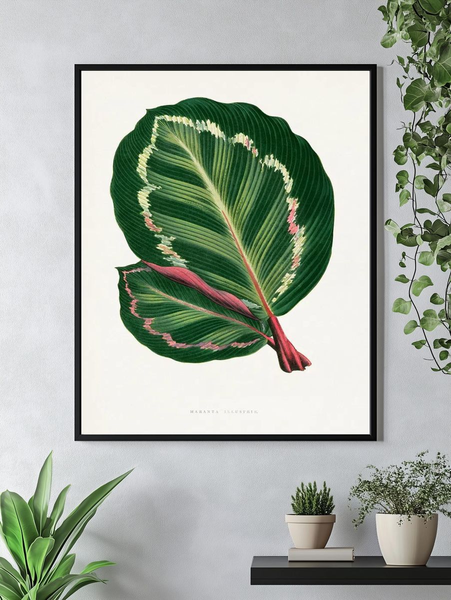 Green Mantara Illustris leaf illustration. — room view 4