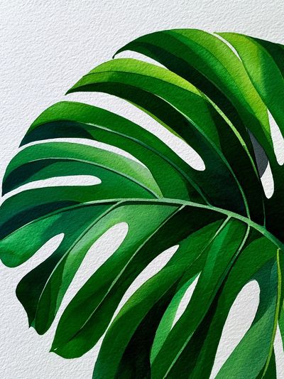 Monstera Leaf Botanical Print. poster