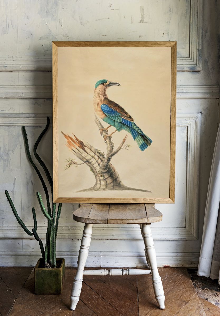 Blue-Tailed Bird Botanical Print room preview