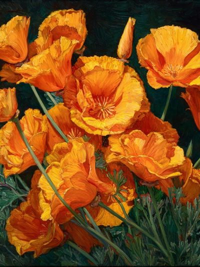 Orange Poppy Blooms Fine-Art Poster. poster print