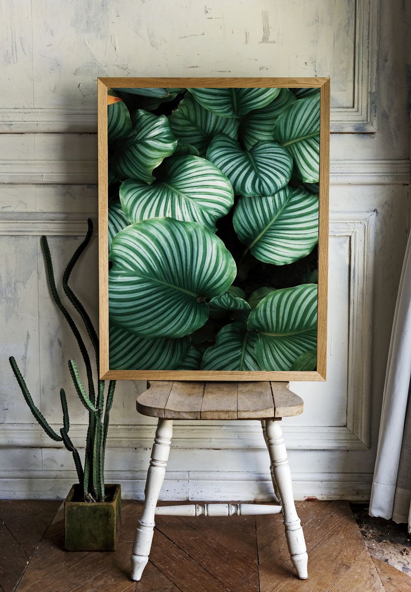 Green tropical leaves background. Original. room preview