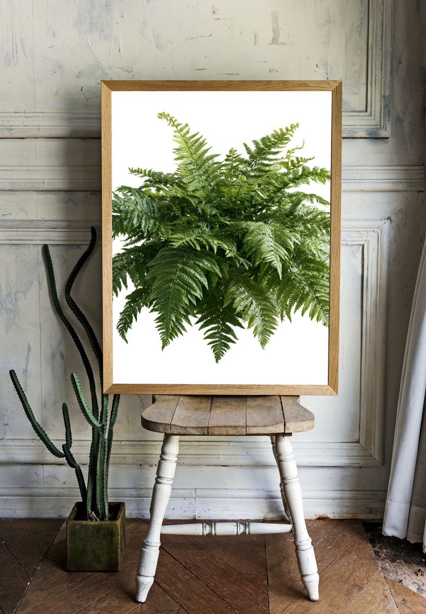 Lush Fern Botanical Print. — room view 1
