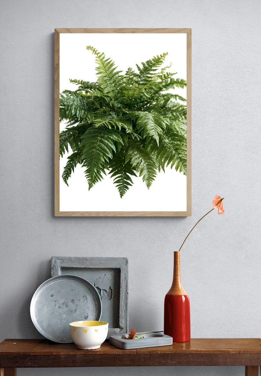 Lush Fern Botanical Print. — room view 3