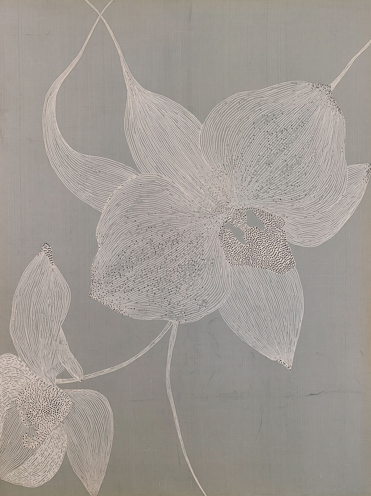 Botanical Linework Print. poster — botanical art