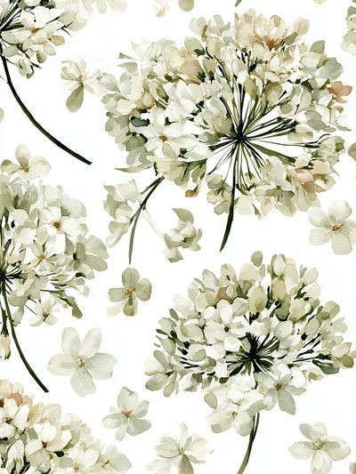 White Blossom Watercolor Print.