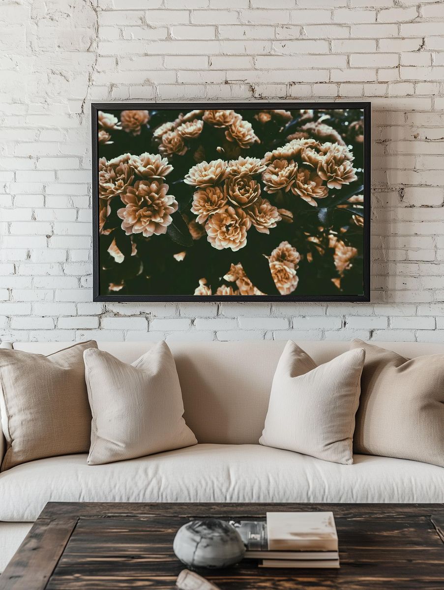desaturated shot large rose-like flowers. — room view 1