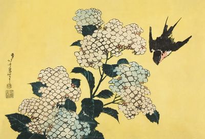Hydrangea Swallow, untitled series large. poster