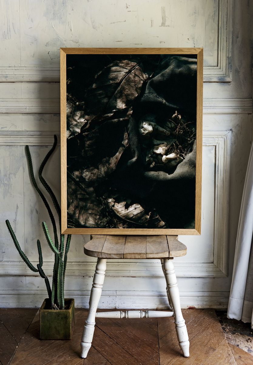 Dark Forest Leaves Abstract Print. room preview