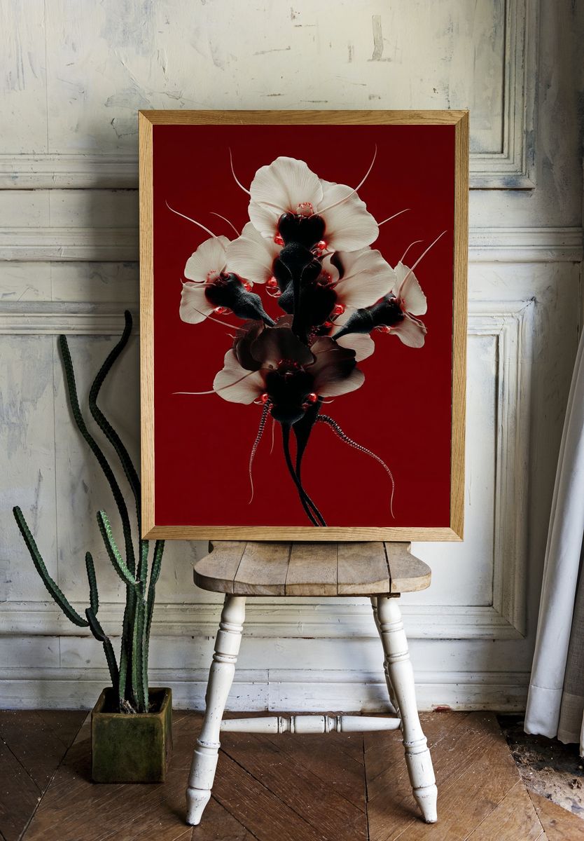 Surreal Orchid Bloom Print. — room view 1