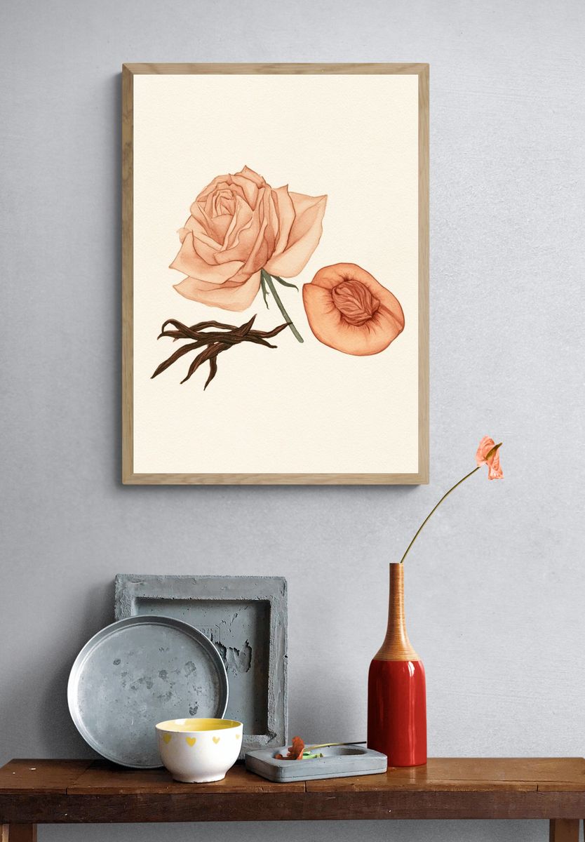 Peach Rose Botanical Print. — room view 3