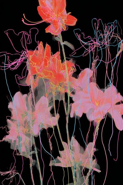 Neon Bloom Abstract Poster. poster print