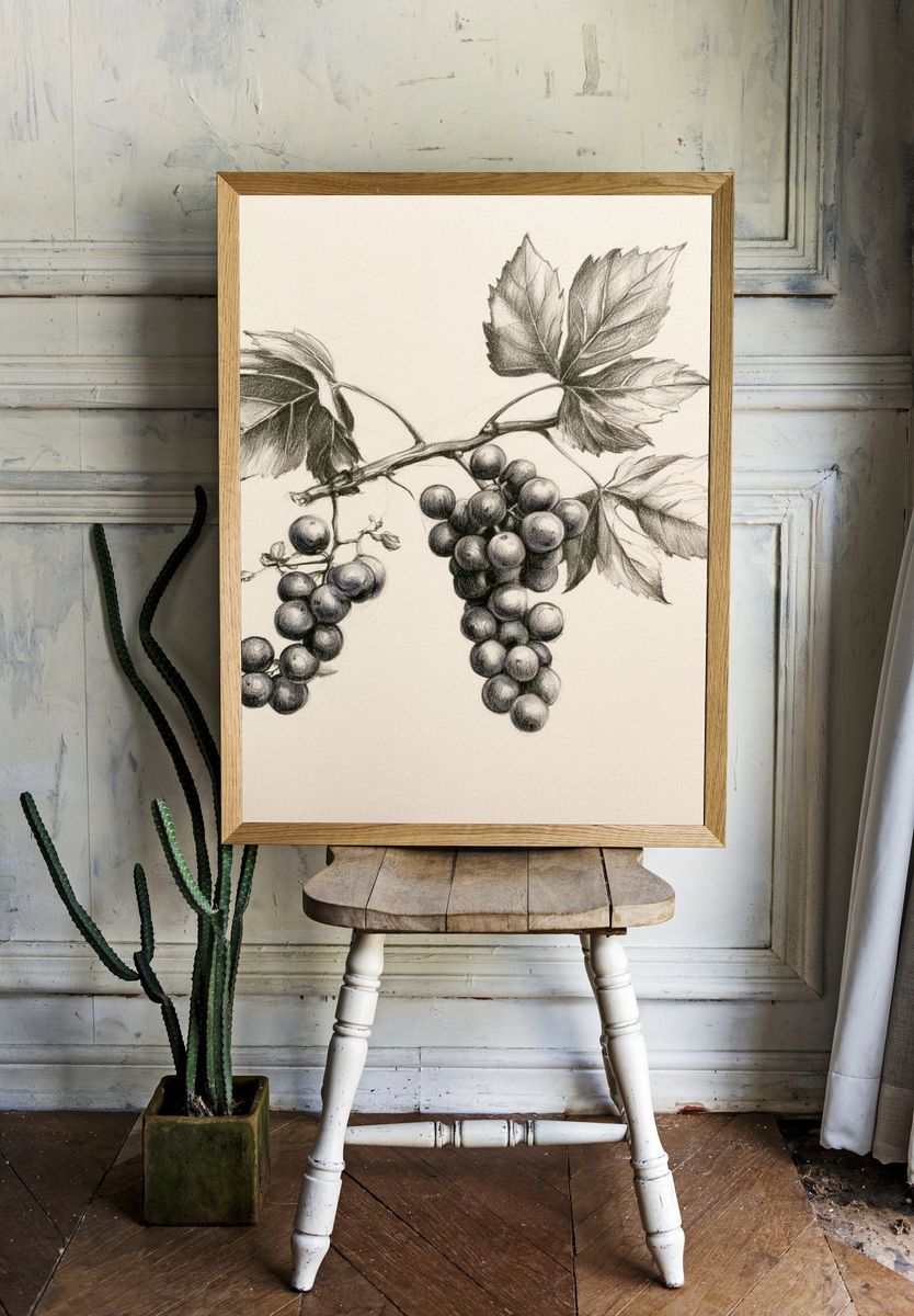 Grapevine Botanical Sketch Poster. room preview