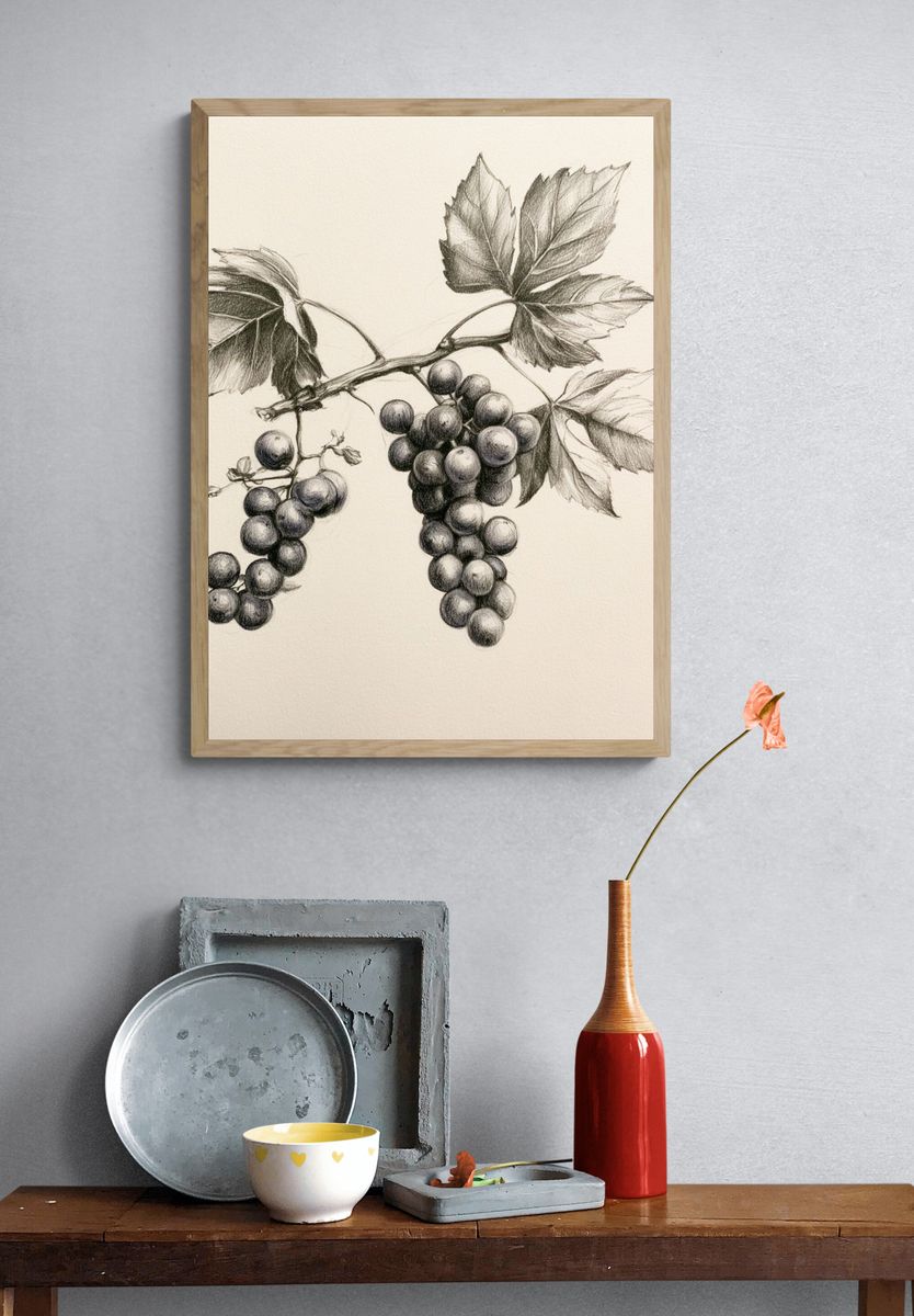 Grapevine Botanical Sketch Poster. — room view 3