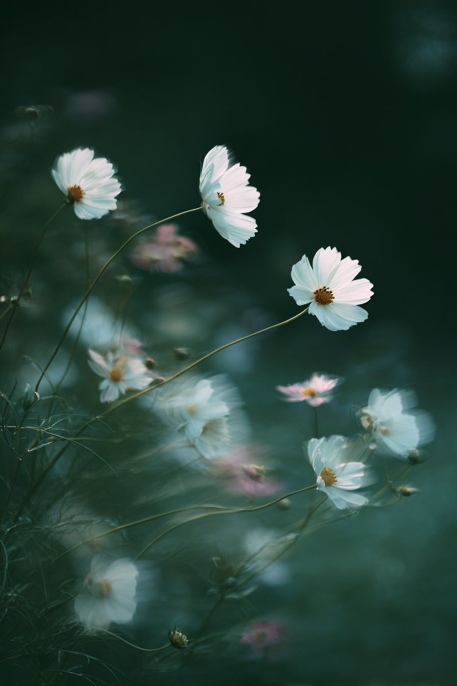 Cosmos Flowers in Misty Green Poster. poster detail