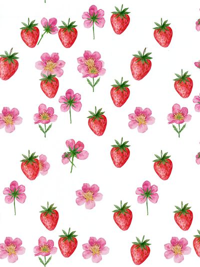 Strawberry Blossom Pattern Print. poster