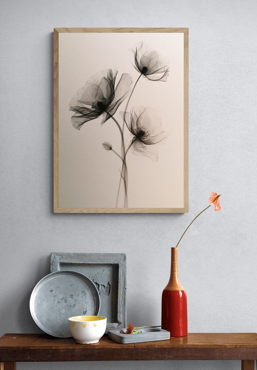 Delicate Black Poppy Botanical Print. — room view 3