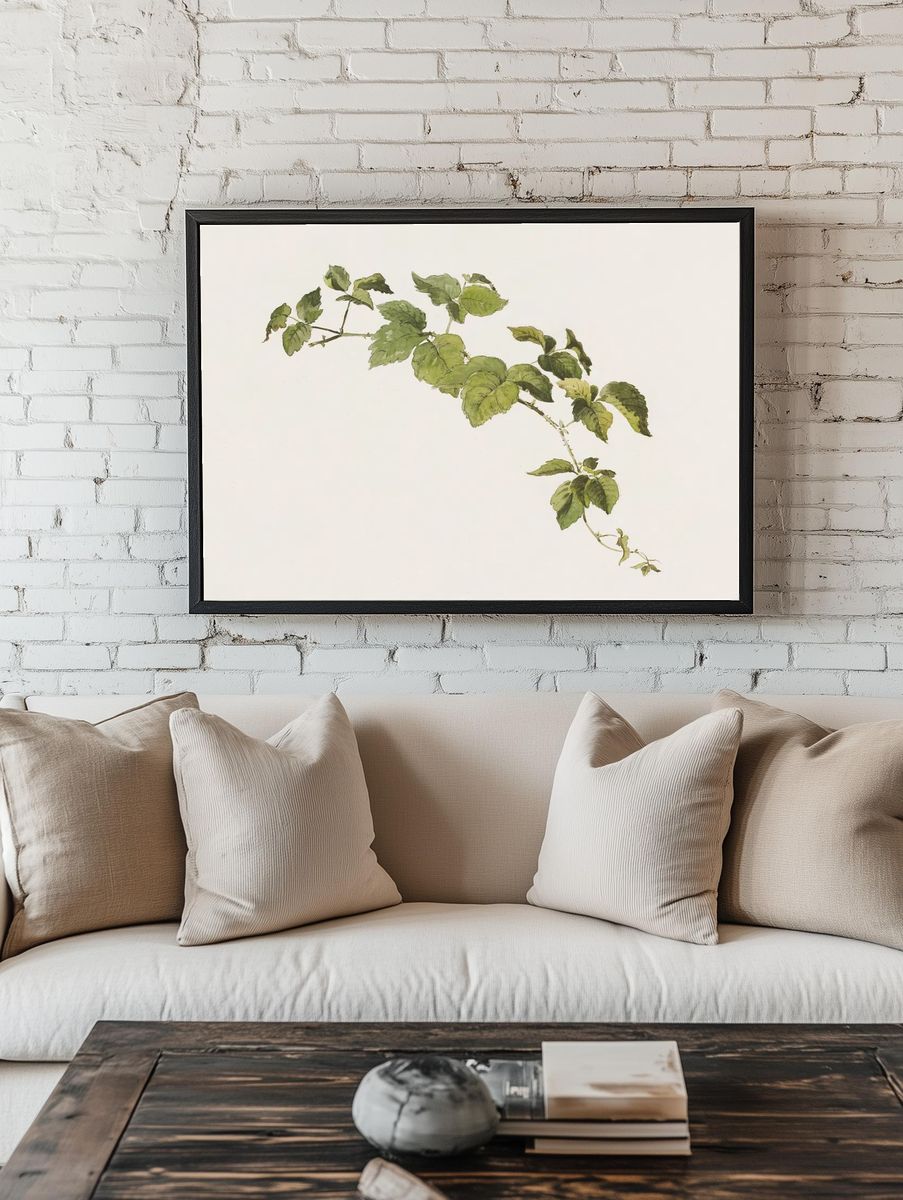 Blackberry sprig Friedrich von Scheidlin. — room view 1