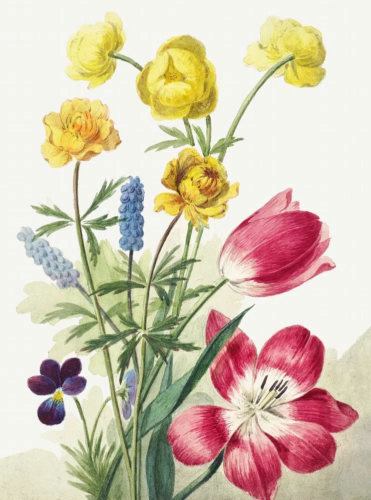 Boeket van tulpen, viooltjes, blauwe. poster detail