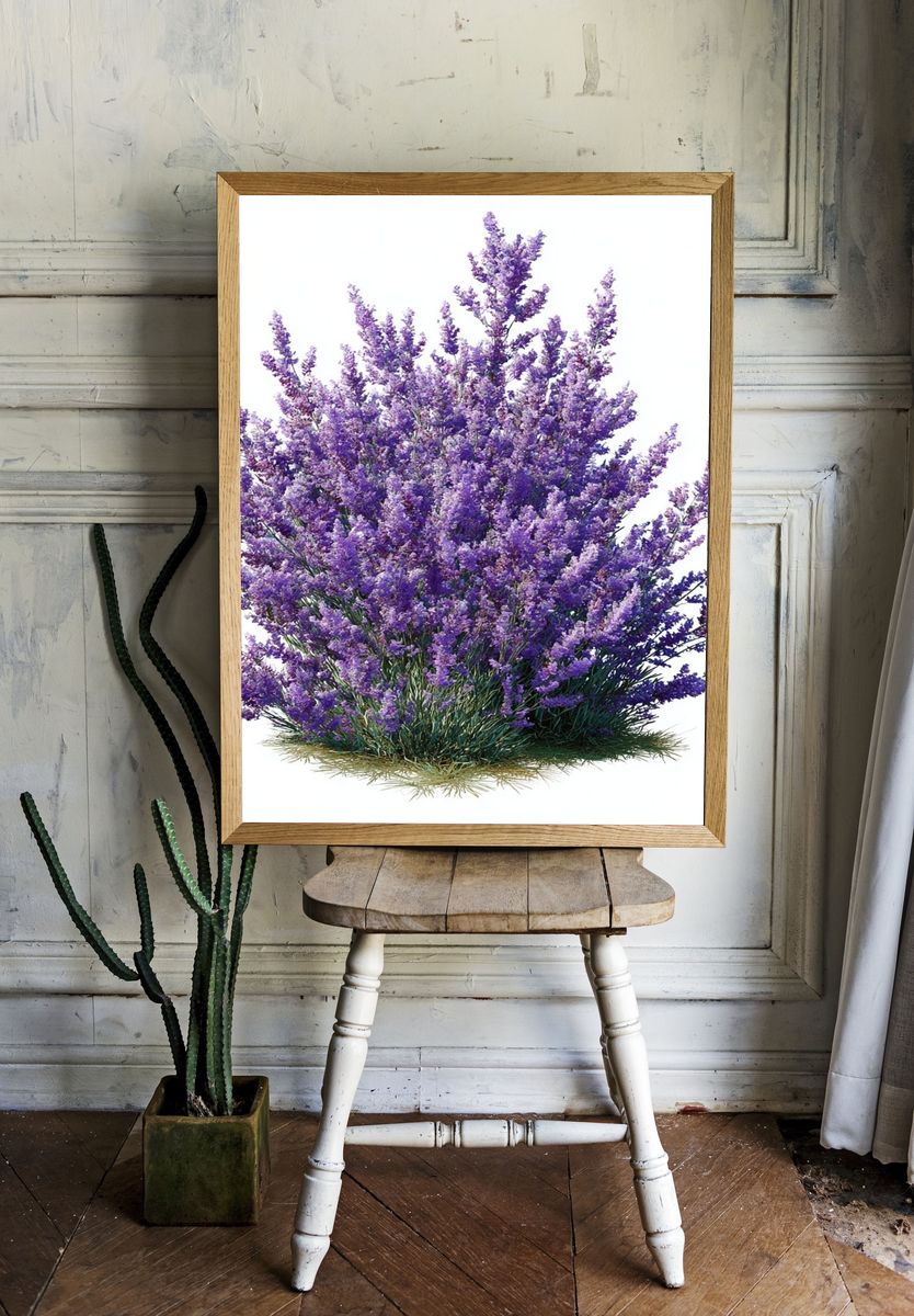 Purple Lavender Bush Botanical Print room preview