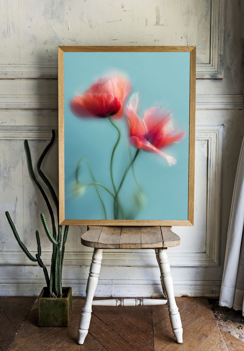 Dreamy Poppy Bloom Photography Poster. — room view 1