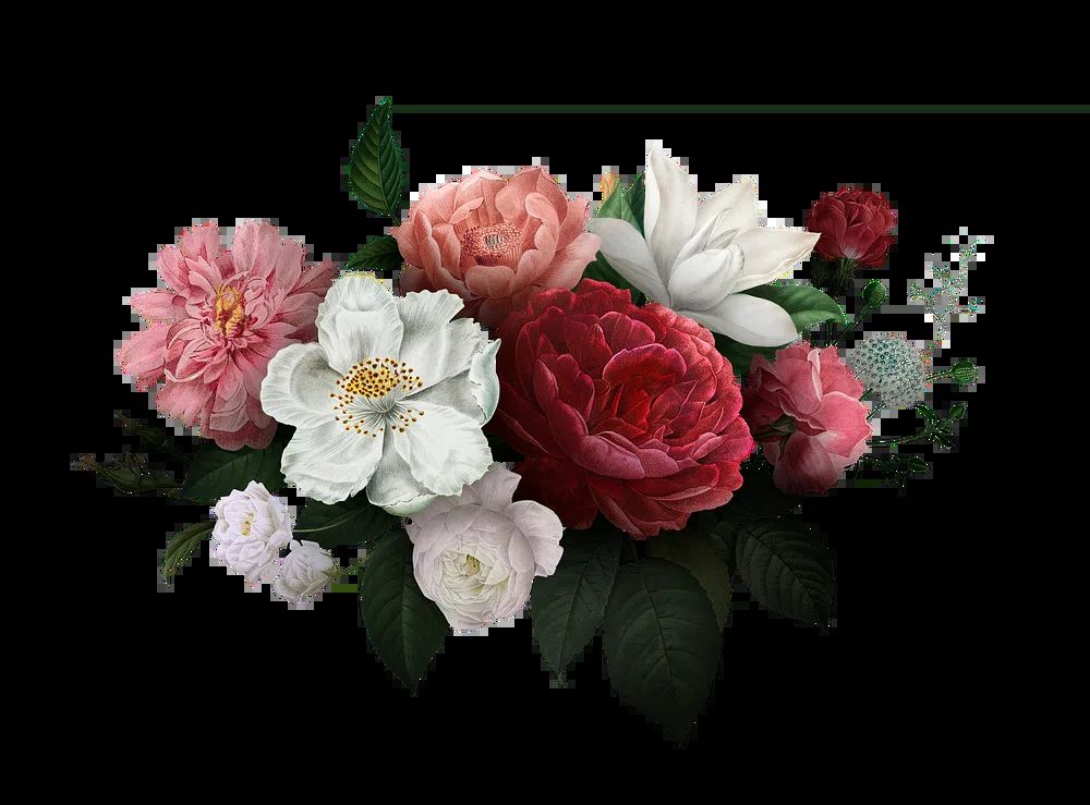 Beautiful hand drawn various roses. poster — botanical art
